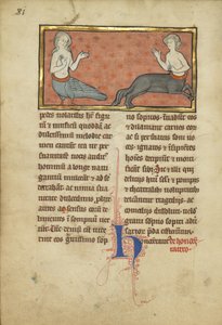 Une sirène et un centaure d