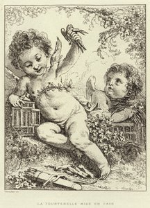 La Tourterelle mise en cage (gravure)