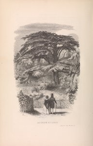 Le Jardin des Plantes, Descriptions et Moeurs des Mammifères, 1842