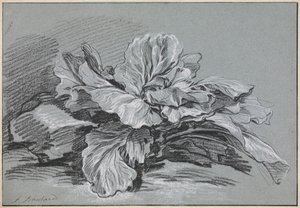 Étude d