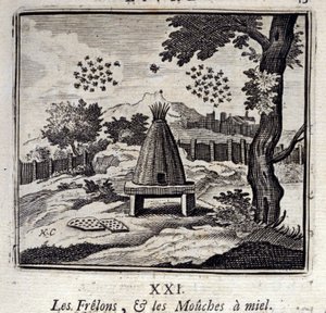 Les Frelons et les Mouches à miel