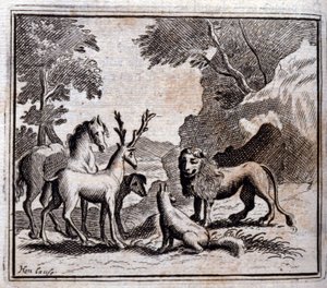 Illustration des 