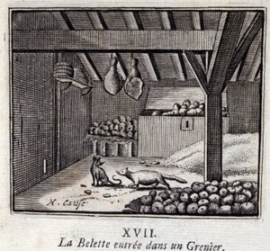 La belette entrée dans un grenier - Francois Chauveau