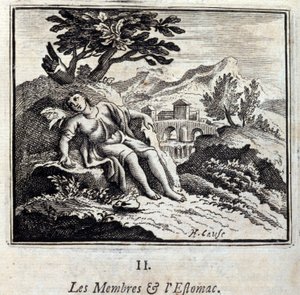 Les membres et l