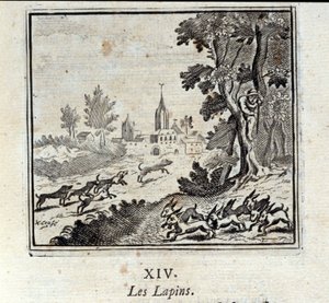 Les lapins - Francois Chauveau