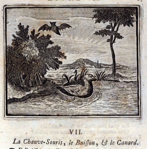La chauve-souris, le buisson et le canard