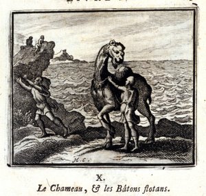 Le chameau et les bâtons flottants