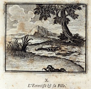 La Crevisse et sa fille. Fables de Jean de La Fontaine (1621-95). Illustration de François Chauveau (1613-1676). Édition de 1728.
