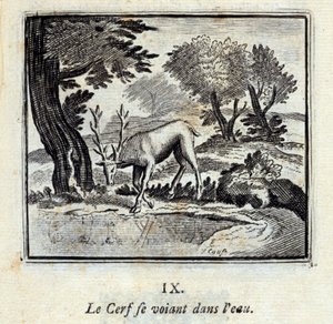 Le cerf se voyant dans l