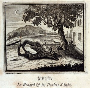 Le renard et les poules d