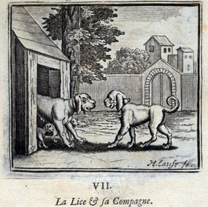 La Puce et sa Compagne - Francois Chauveau