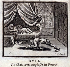 Le chat métamorphosé en femme