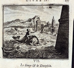 Le Singe et le Dauphin - Francois Chauveau
