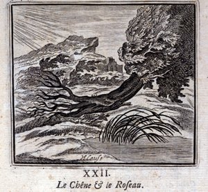 Le Chêne et le Roseau