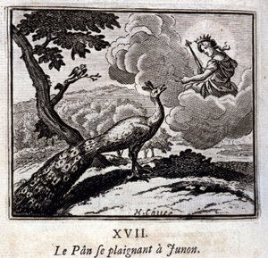 Le Paon se plaignant à Junon - Francois Chauveau