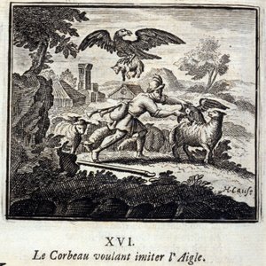 Le corbeau voulant imiter l