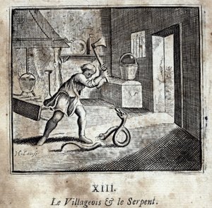 Le villageois et le serpent - Francois Chauveau