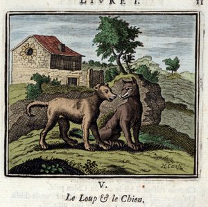 Le Loup et le Chien. Fables de Jean de La Fontaine (1621-1695). Illustration de François Chauveau (1613-1676). Édition de 1728 - Francois Chauveau