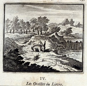 Les oreilles du lièvre