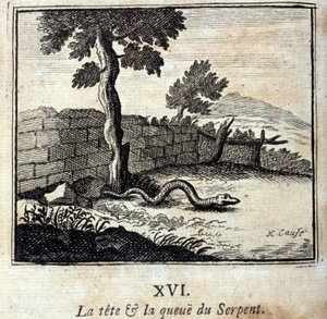 La Tête et la Queue du Serpent. Fables de Jean de La Fontaine (1621-95). Illustration de François Chauveau (1613-1676). Édition de 1728.
