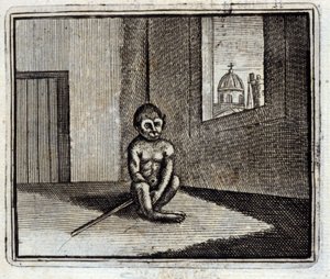 Le Singe - Francois Chauveau