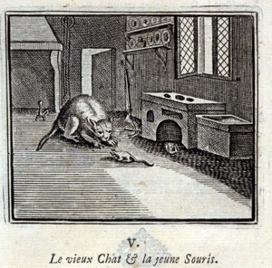 Le vieux chat et la jeune souris