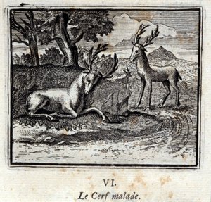 Le cerf malade - Francois Chauveau
