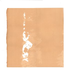 Derviche tourneur, 2015