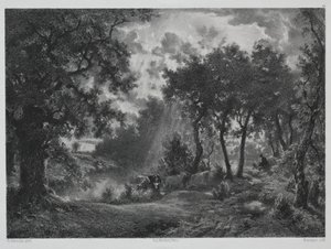 Après la pluie