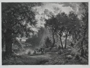 Après la pluie