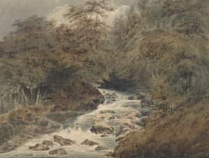 Un ruisseau de montagne