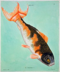 Le Noriroux, 18ème siècle