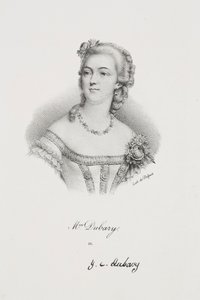 Portrait de Madame Dubary - Francois Seraphin Delpech