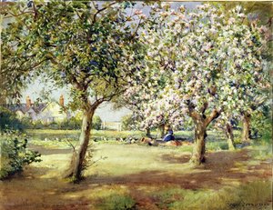 Jours de floraison