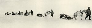 Poneys en marche, 1911, 1913 - Frank Debenham