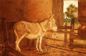 Une étude brune