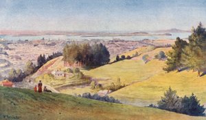 Nouvelle-Zélande : Auckland