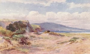 Nouvelle-Zélande : Sur la plage de Ngunguru - Frank H Wright