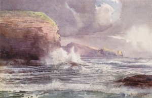Nouvelle-Zélande : Te-Wenga - Frank H Wright