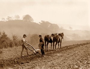 Agriculteurs labourant un champ à Lealholm Hall Farm, Whitby, vers 1889 - Frank Meadow Sutcliffe