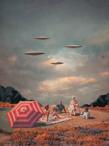  - Frank Moth