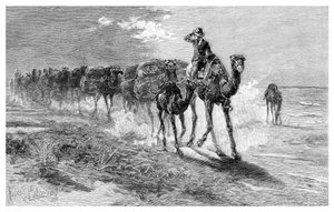 Chameaux transportant de la laine - Frank P. Mahony