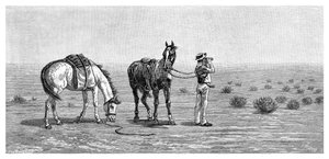 Rien en vue, 1886 - Frank P. Mahony