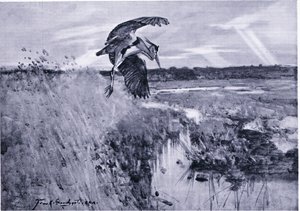 Jack Harnser-Heron - Frank Southgate