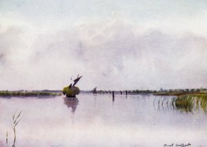 Norfolk Broads : Bateau de foin sur Hickling Broad - Frank Southgate