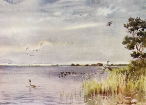 Norfolk Broads : Horsey Mere - Frank Southgate