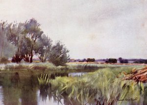 Norfolk Broads : Foin des marais - Transport sur la Yare - Frank Southgate