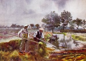 Norfolk Broads : Désherbage des marais - Frank Southgate