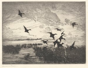 Après le coucher du soleil