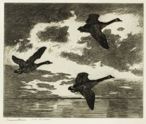 Matin nuageux - Frank Weston Benson